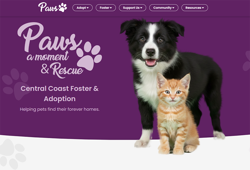 Paws a Moment — homepage