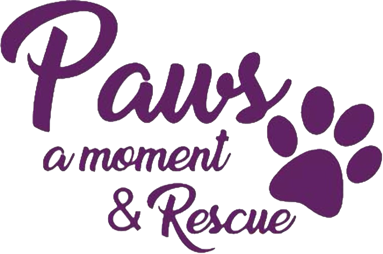 Paws a Moment